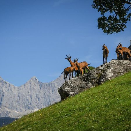Strickhof Βίλα Schladming Εξωτερικό φωτογραφία