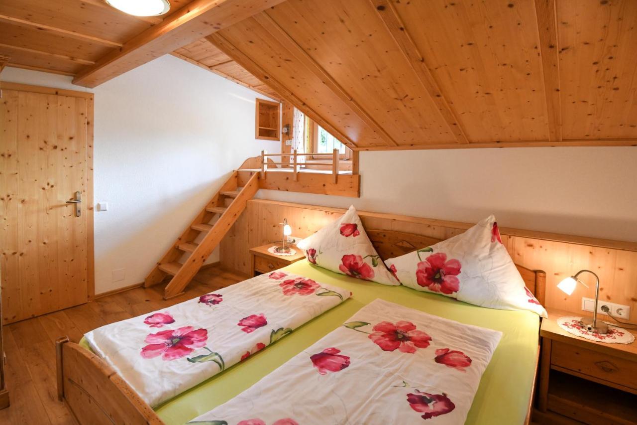 Strickhof Βίλα Schladming Εξωτερικό φωτογραφία