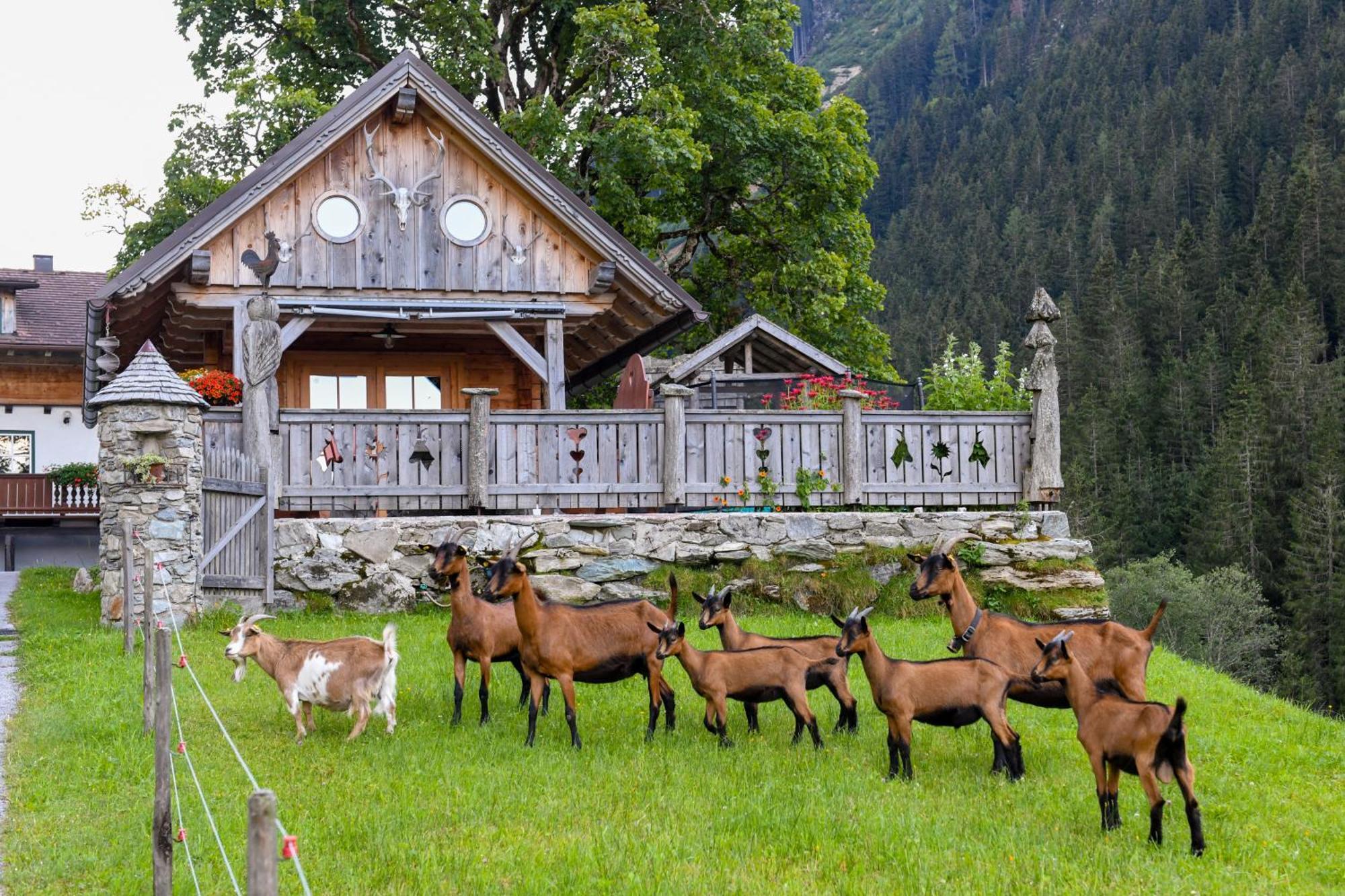 Strickhof Βίλα Schladming Εξωτερικό φωτογραφία