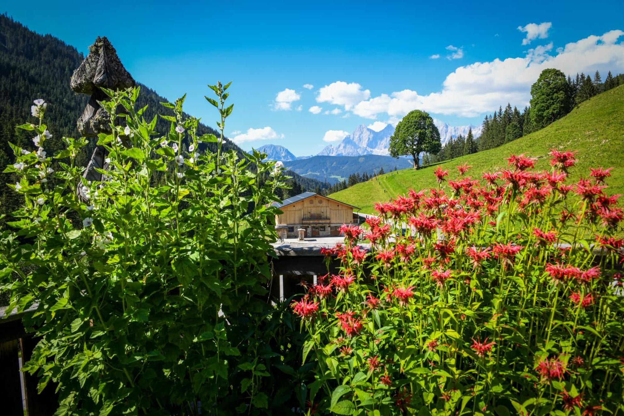 Strickhof Βίλα Schladming Εξωτερικό φωτογραφία